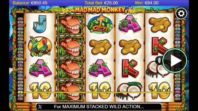 Игровой интерфейс Mad Mad Monkey 5
